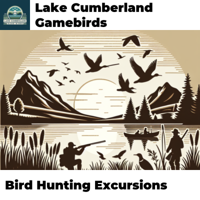 Bird Hunting Excursions